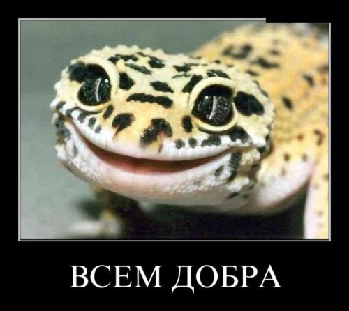 Пятничная подборка