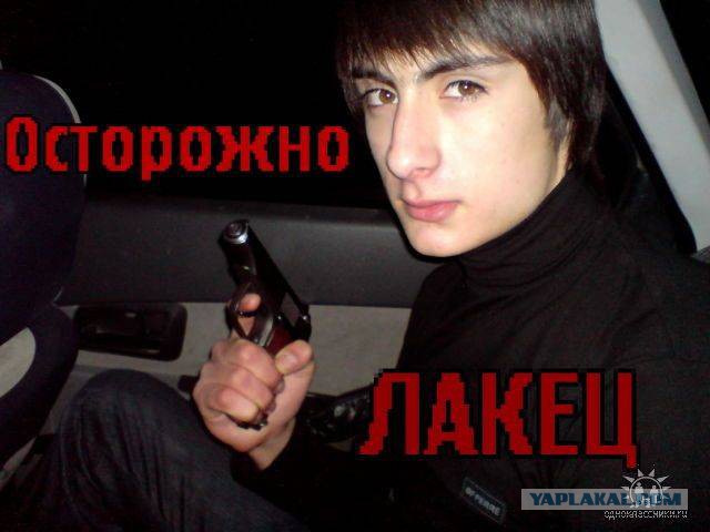 Соцвестник