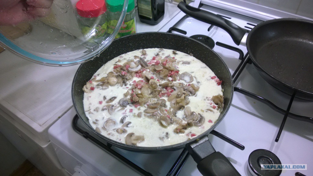 Хочется что-нибудь вкусненького. Хочется чего нибудь вкусненького. Смешная еда. Смешное голодный кот. Сладкие вкусняшки.