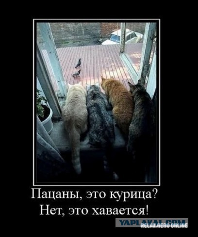 Демотиваторы из прошлого