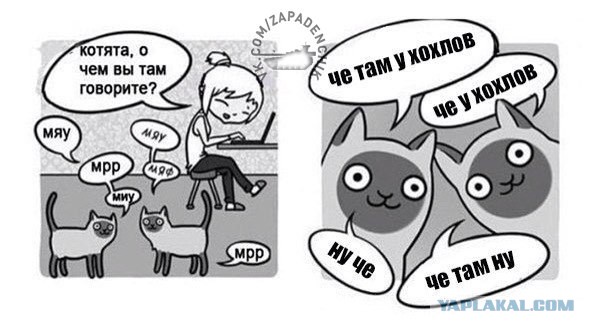 В ДНР объявлена боевая тревога!