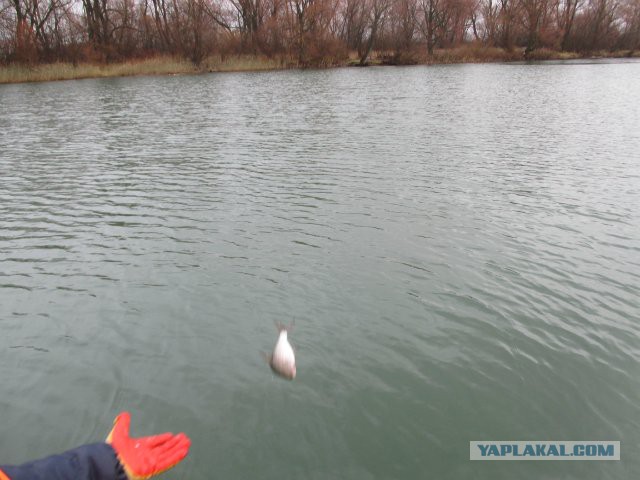 Браконьерам пламенный привет