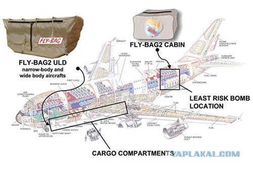 Глава ФСБ: самолет A321 был взорван