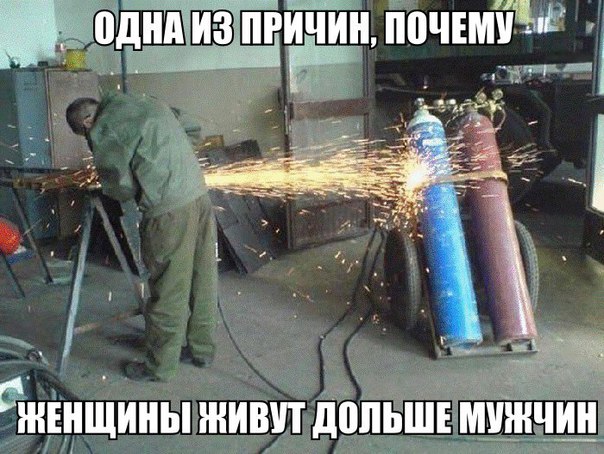 Забавные картинки из Сети