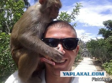 Необычные фотки