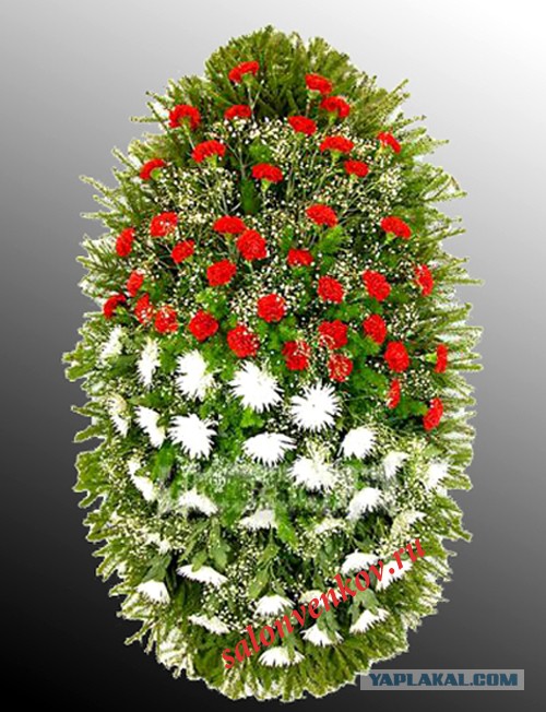 Берлин: беженцы дарят немкам цветы