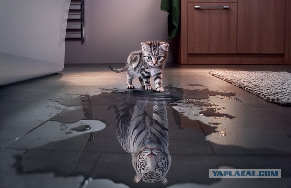 Картинки разные