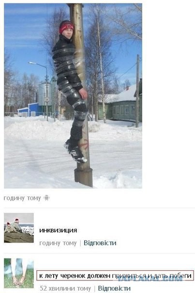 Ужасы и приколы из соцсетей 18+