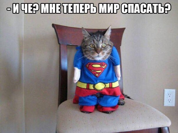 Мохнатые беспредельщики
