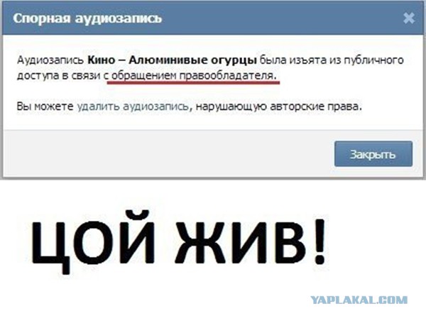 Гребенщиков обматерил неизвестных, закрасивших стену Цоя