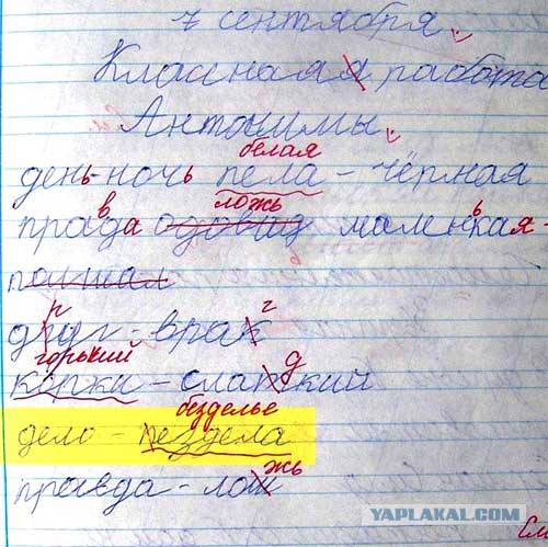Прикольные надписи и объявления