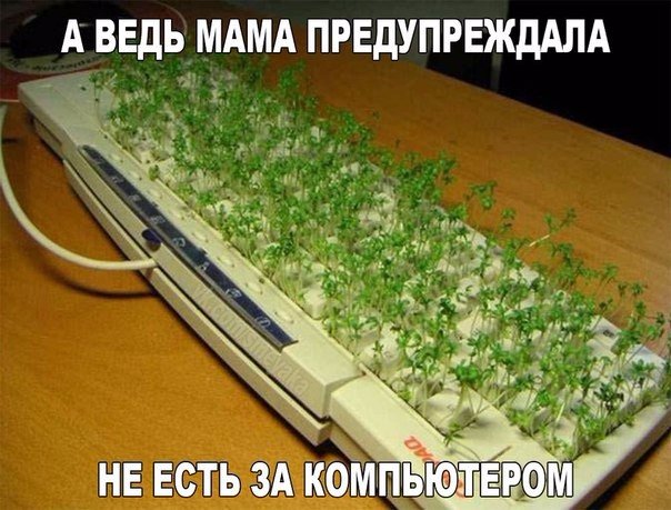 Весёлые картинки 30.11.2016