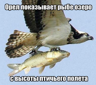 Я свободеееен...!