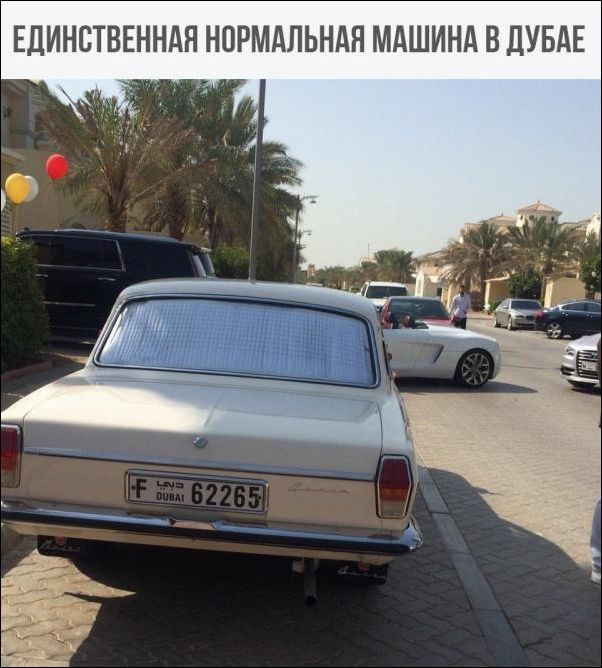 Подборка безудержного веселья