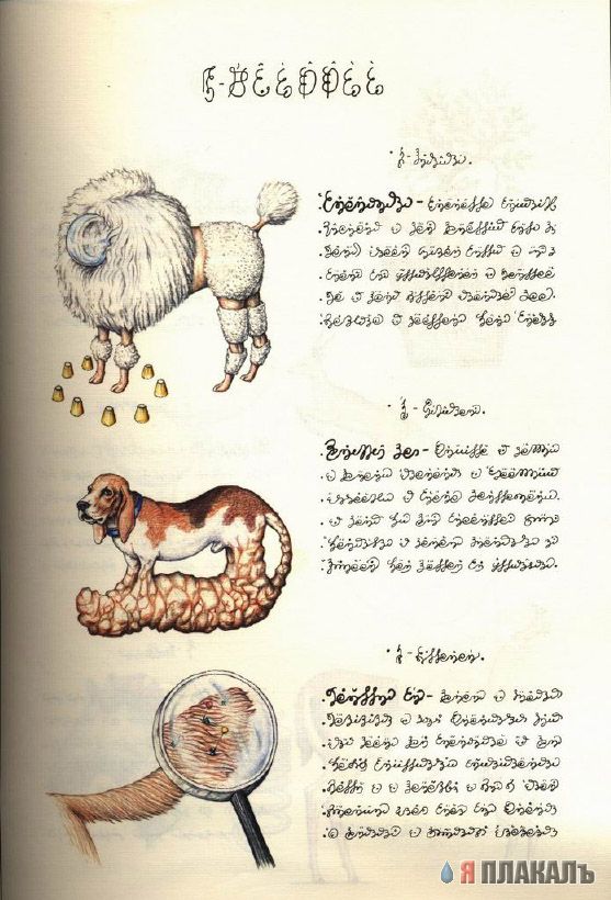 Codex Seraphinianus - что курил автор?