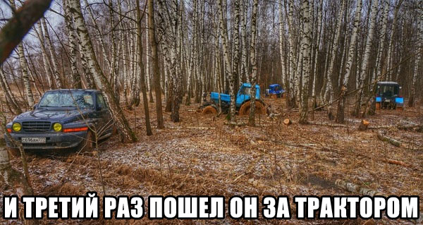 Все встряли.