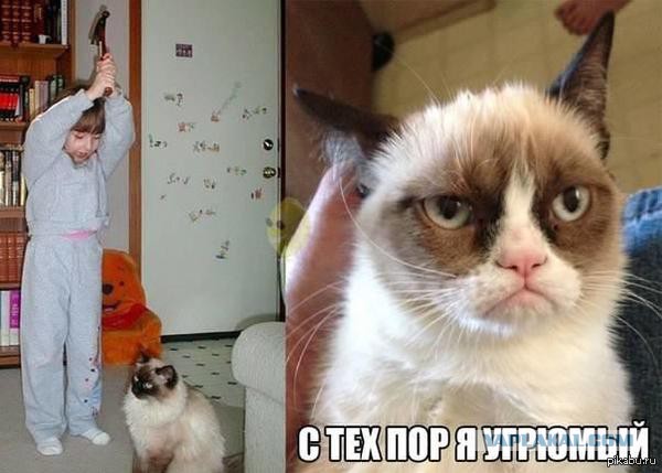Немного картинок с веселыми надписями