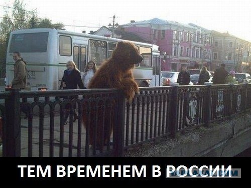 В Европе скоро будут охотиться на нормальных