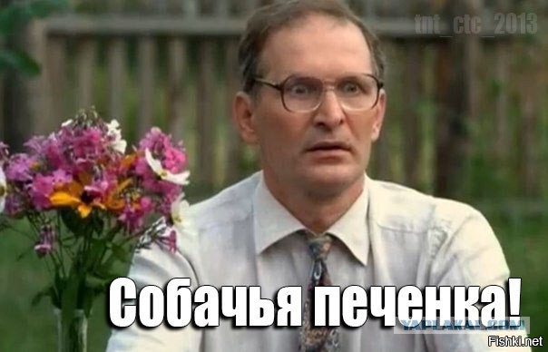 Крадущийся кусь, затаившаяся лапа. Фотограф снимает кошек, которые занимаются карате