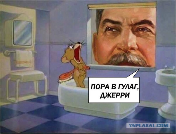 Совсем просто о нашей думе