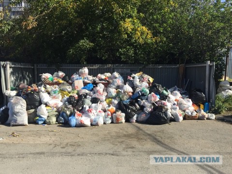 Челябинск завален мусором