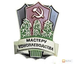 Рассказ коноплевода о бизнесе: нюансы работы в России, ошибки на пути и почему китайцы интересуются сырьем