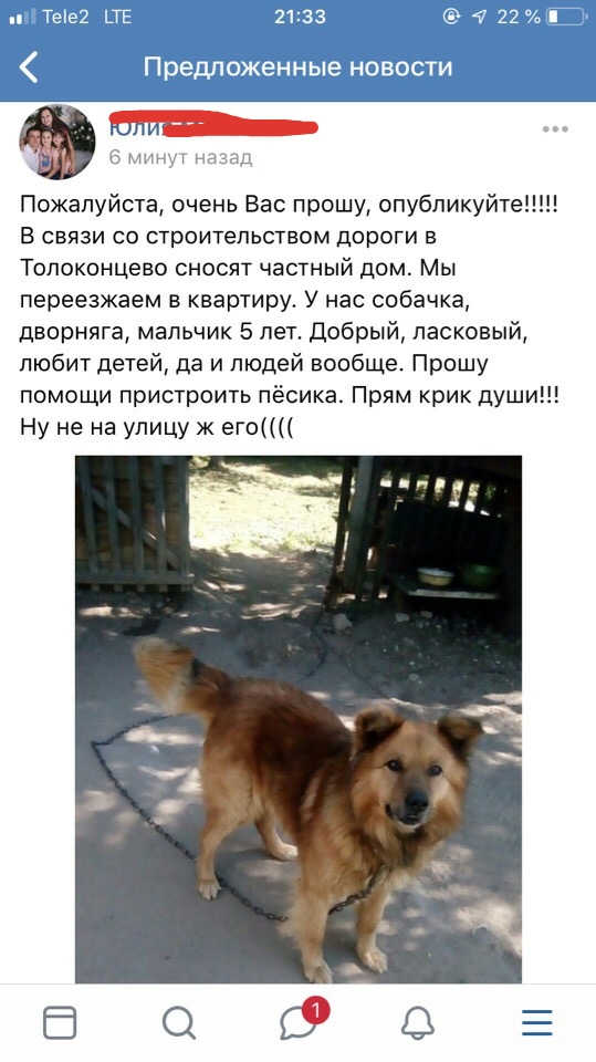Собакочетверг господа!