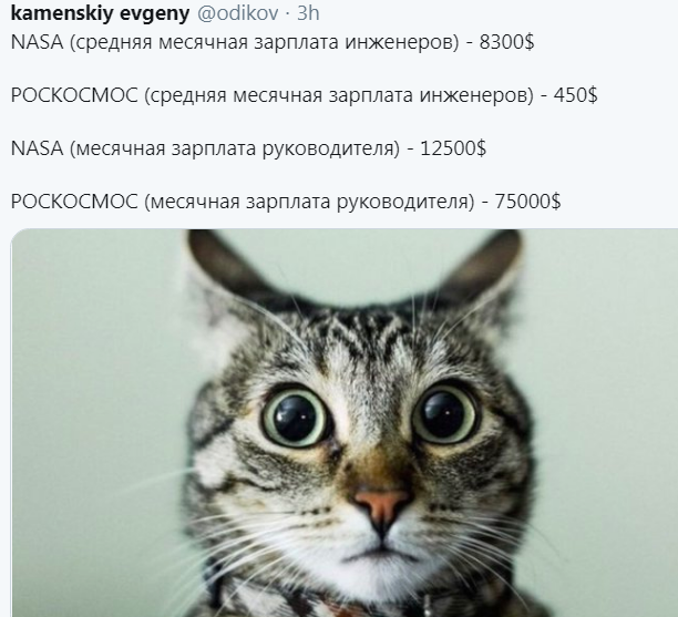 Пенсионный фонд случайно раскрыл всю глубину пропасти, в которую падает российская пенсионная система.