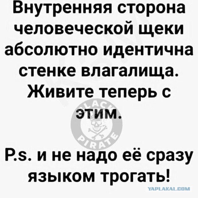 Улыбкой вдарим по дошираку