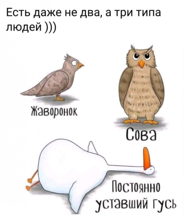 Картинки с претензией на юмор. Старые - 6