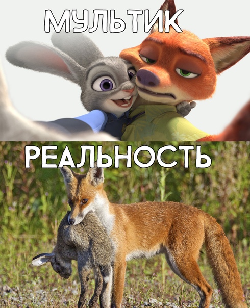 Немного картинок для настроения 17.01.20
