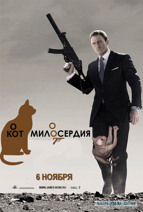 Квант попадания