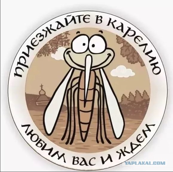 Северная Карелия. Пяозеро 2018.