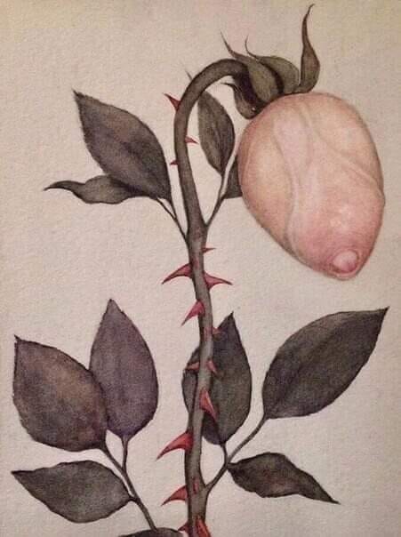 Нашлось еще немного слегка пошлых картинок с надписями 16+ (22.07.2020)