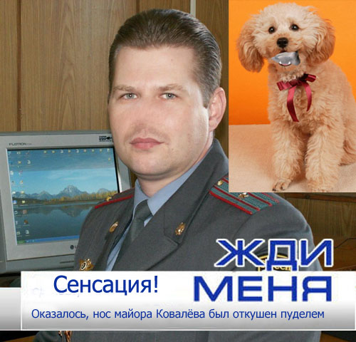 Нос Майора Ковалева