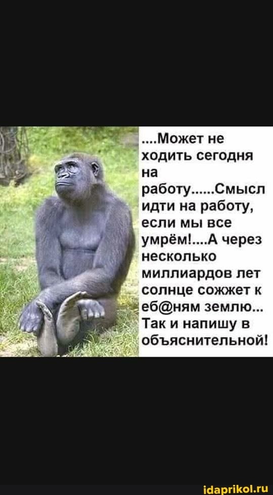 Юмор в картинках 21.09.20