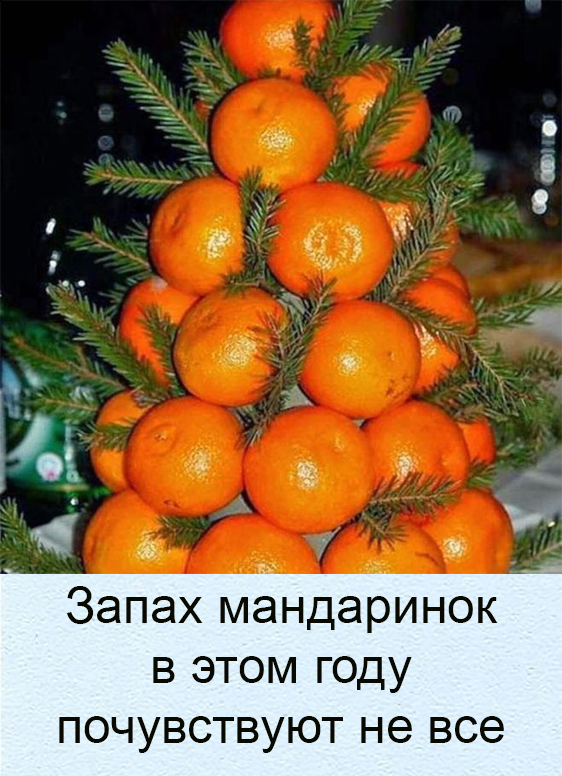 Бредзона 06.11.2020
