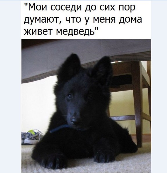 Картинки и мемы для настроения 002