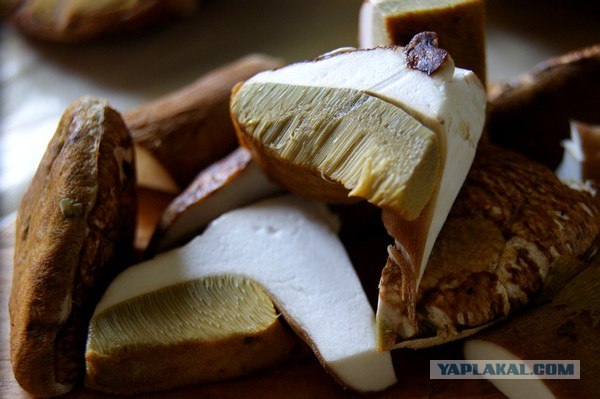 Осень в банках