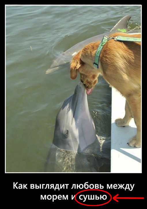 Картинки и мемы для настроения 003