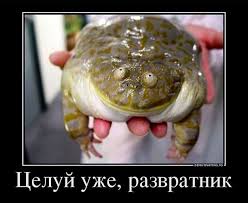 Пи*дострадальцы