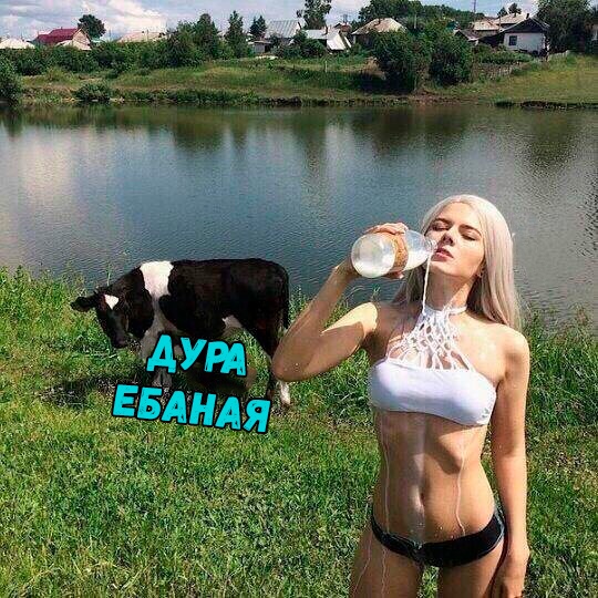 Подеградируем, побаяним...