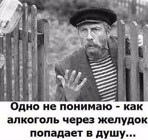 Забавные комментарии из социальных сетей (13.12.21)