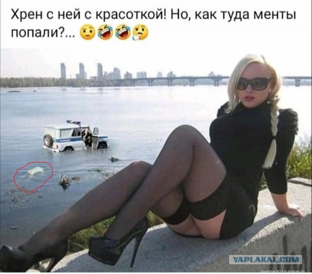 Всяческие картинки 14.12.2021