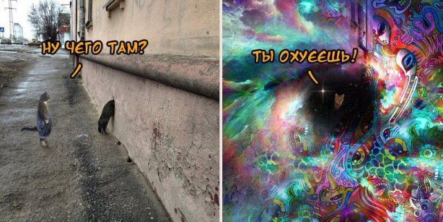 Немного картинок и прочей хреноты Vol. 6