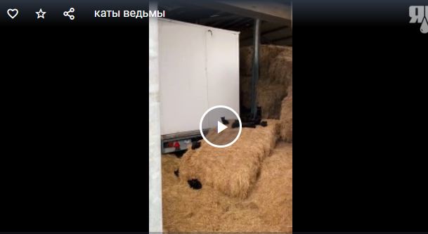 Сарай ведьмы