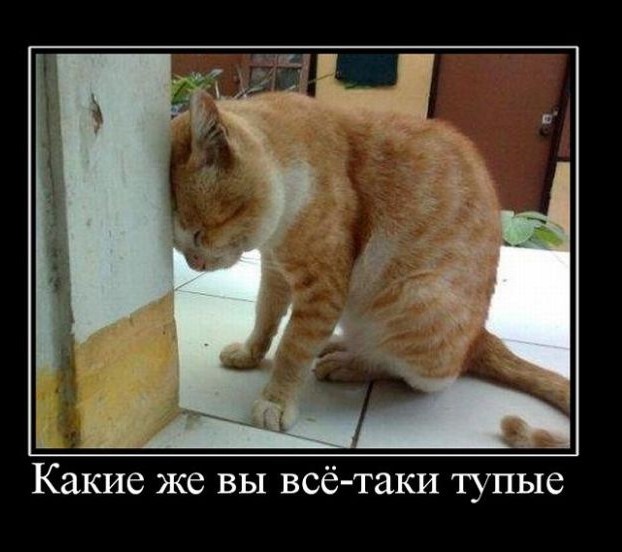 Картинки с надписями 21.07.22