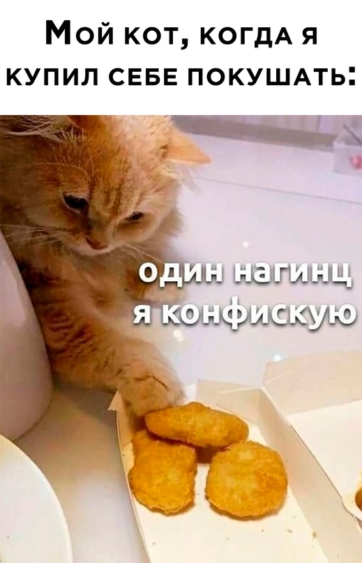 Немного картинок для настроения - 131