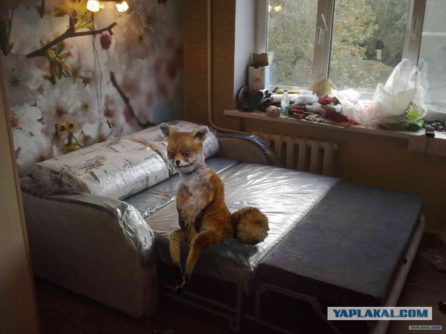 Ремонт своими руками