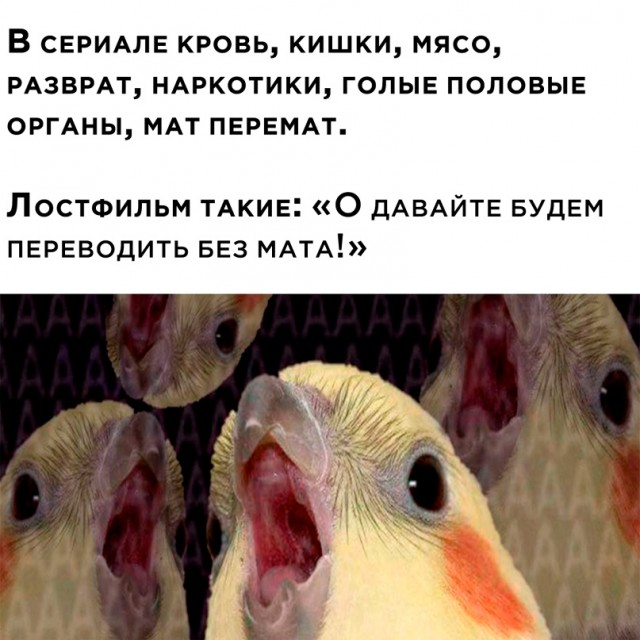 Картинки и мемы, всяко разно - 175